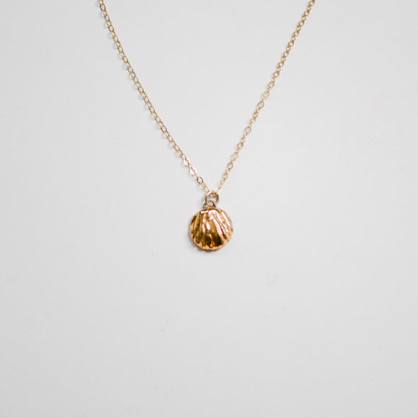 Small Seashell Necklace