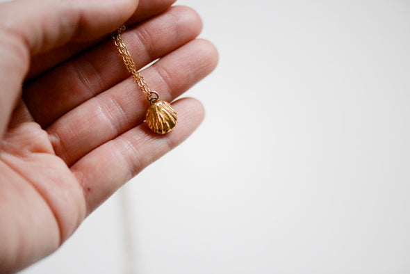 Small Seashell Necklace